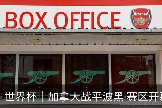 世界杯｜加拿大战平波黑 赛区开幕式表演“翻车”